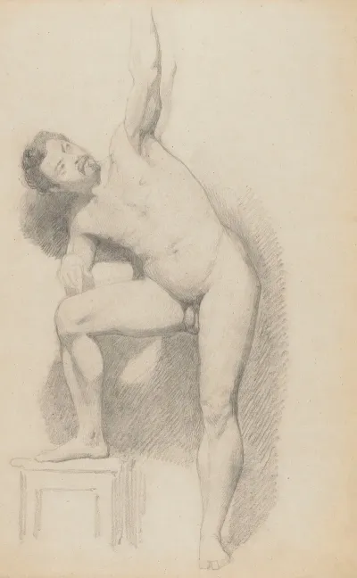 Young Male Nude