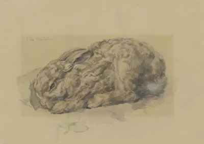 Young Rabbit