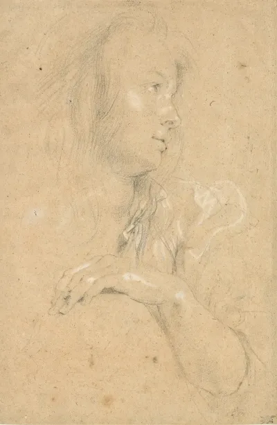 Young Woman In Profile 2