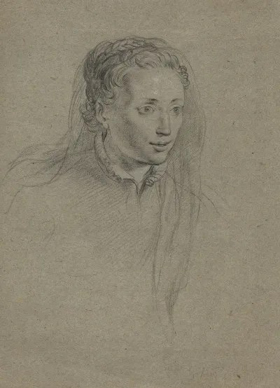 Young Woman With Braided Hair And A Veil