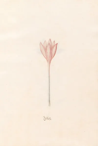 Zeitloss 2