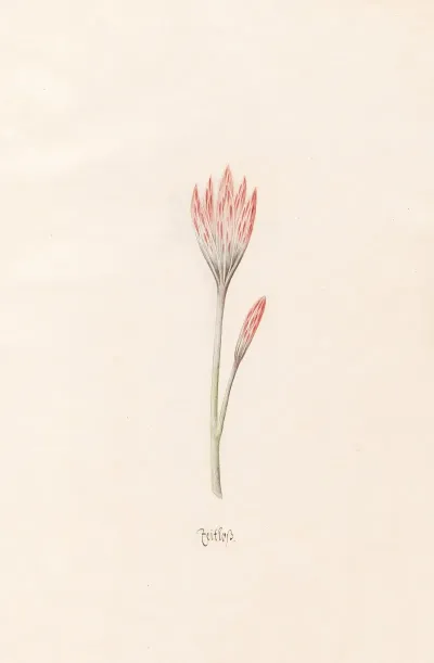 Zeitloss 3