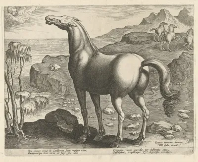 Zephyros