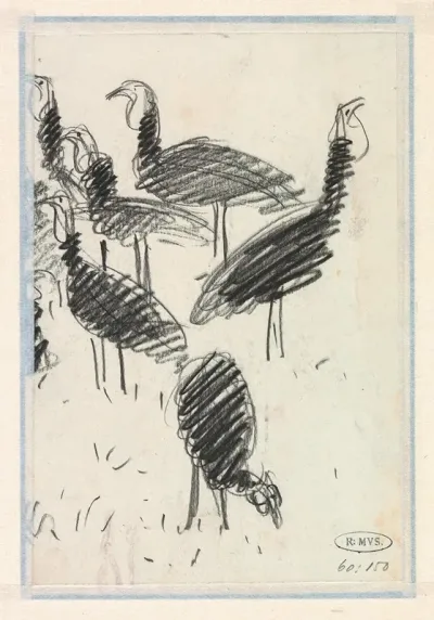 Zes Vogels
