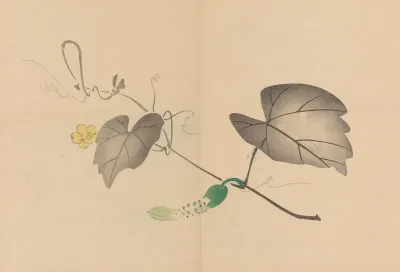 Zeshin Iboku Tairyukyo Gafu Pl 04