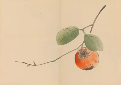 Zeshin Iboku Tairyukyo Gafu Pl 10