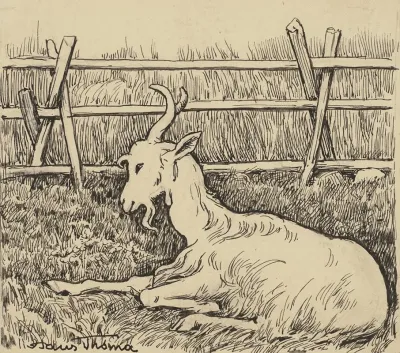 Ziege 3
