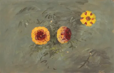 Zinnias