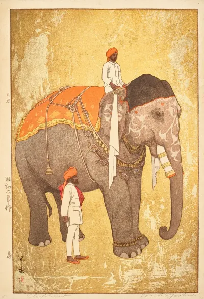 Zo Elephant