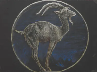 Zodiac Signs Capricorn