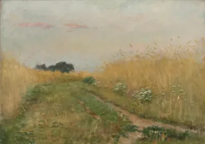 Zomerlandschap Korenveld