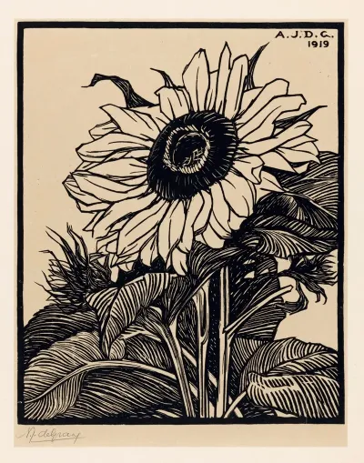 Zonnebloem 3