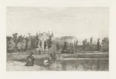 Zwanen Voeren In Het Vondelpark