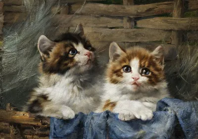 Zwei Katzchen Im Korb Mit Blauem Tuch