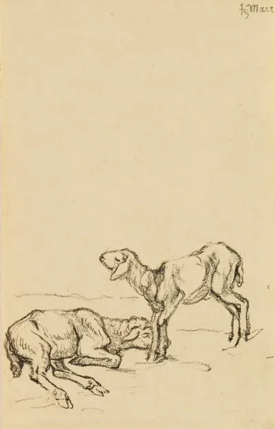 Zwei Lammer