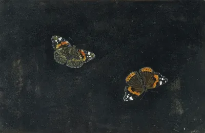 Zwei Schmetterlinge 2