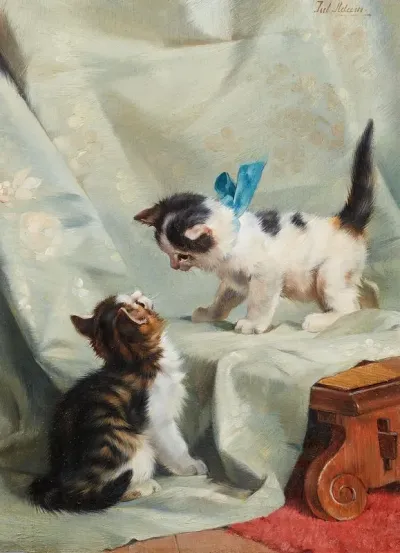 Zwei Spielende Katzen 2