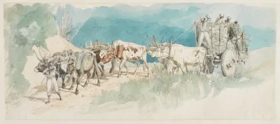 Zweiradgespann Von Sechs Buffeln Gezogen