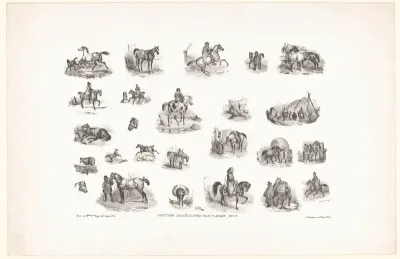 25 voorstellingen van paarden en ruiters