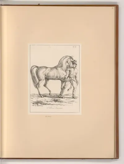 3.eme Cheval Normand