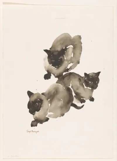 3x Sybilla