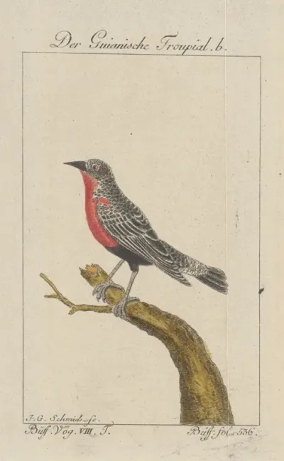 4. ilustrácia