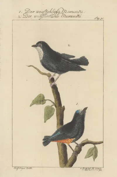 5.ilustrácia