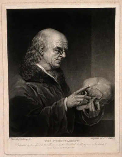A bald phrenologist with a large forehead examining a skull, in a 'vanitas' pose