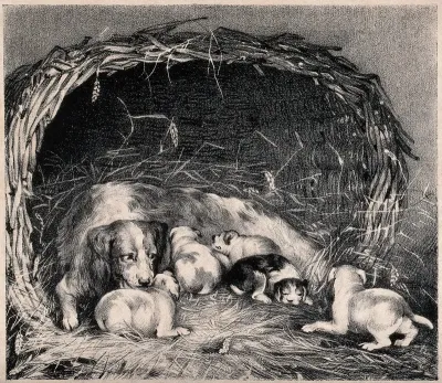 A basket with a bitch and her puppies resting on straw
