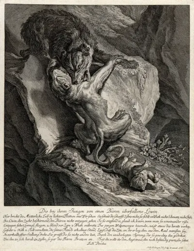 A bear and a lioness are fighting on a crag in the mountains with the lion cub tumbling off the rock