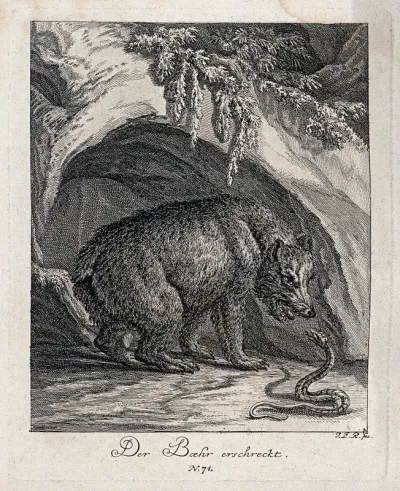 A bear and a snake hissing at each other outside a cave