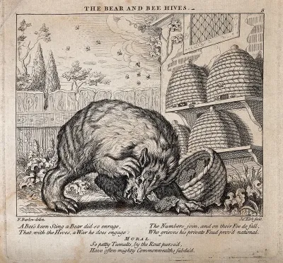 A bear has overturned a beehive and is attacked by bees
