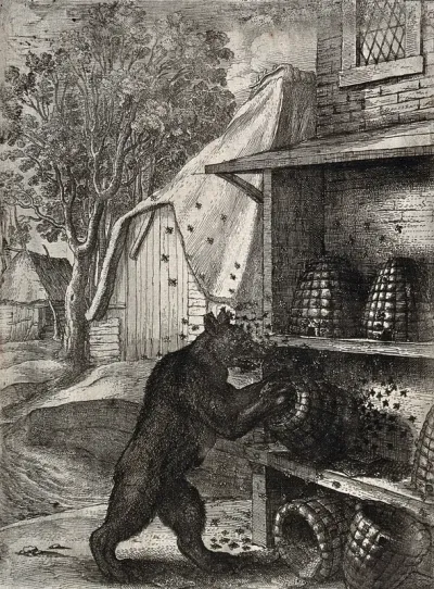 A bear has overturned two hives and is trying to prize out honey from a third while being attacked by bees; illustration of a fable by Aesop