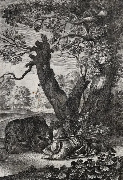 A bear is sniffing at a man lying face downwards on the ground while another man has taken refuge in a tree