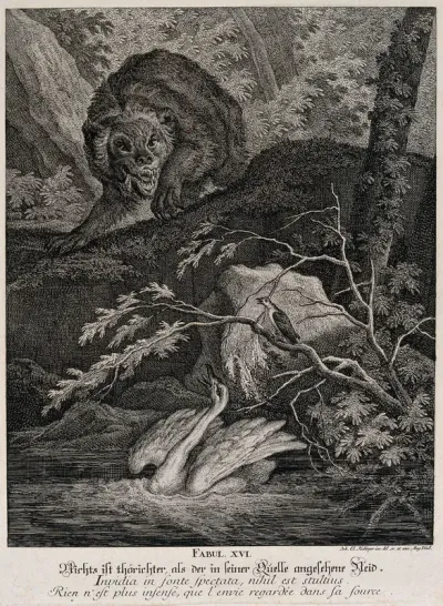 A bear standing on the elevated shore of a stream is haranguing a swan and a bird below in the water