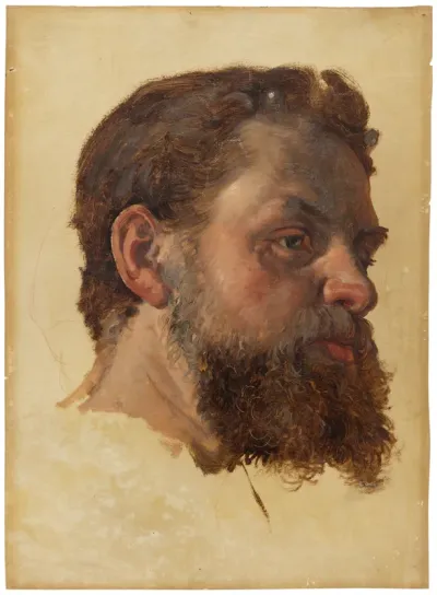 A Bearded Man. Study