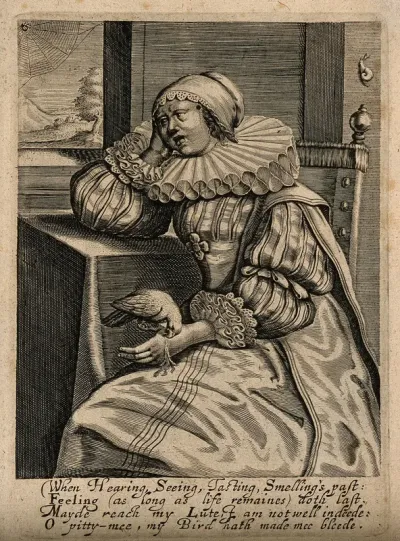 A bird's beak cuts a woman's hand; representing the sense of touch and the fact that it persists longer (in pain) than the other senses