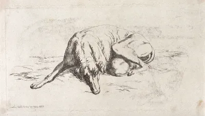 A bitch and its suckling pup resting curled up on the ground