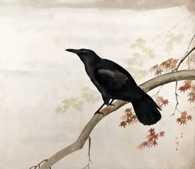 A black bird, sitting on a branch