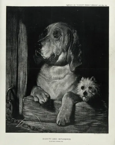 A bloodhound and a Scotch terrier sitting in a kennel and looking out