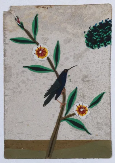 A blue and grey bird sitting on a flower stem