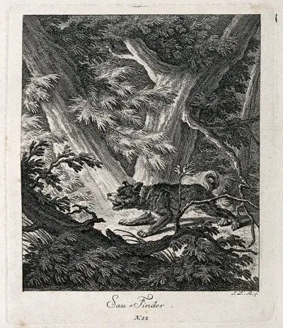 A boarhound standing barking in a forest