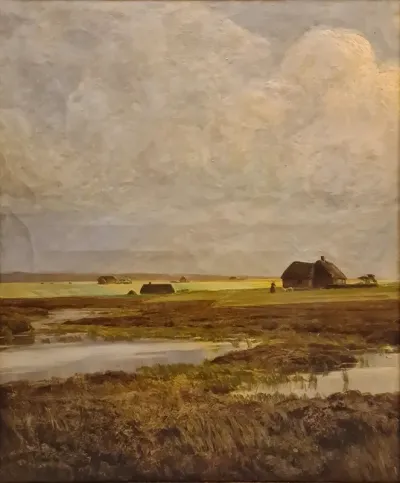 A bog on a heath. 80/330b.