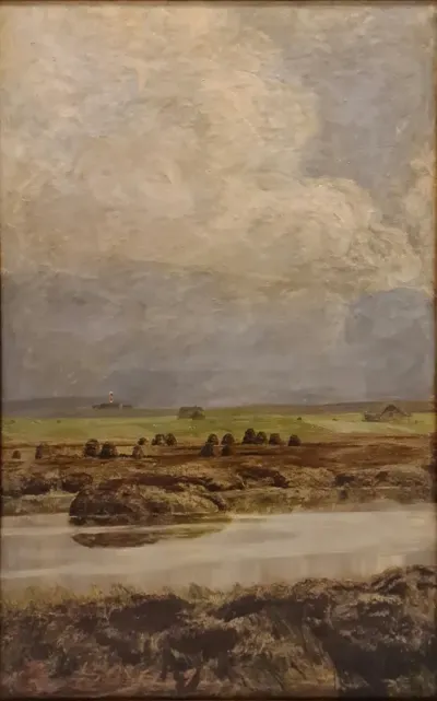 A bog on a heath.