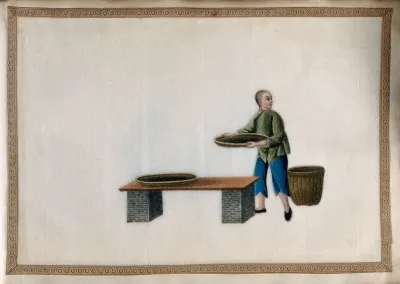 A boy lays shallow baskets of tea leaves on a low table, for initial withering (?), or drying