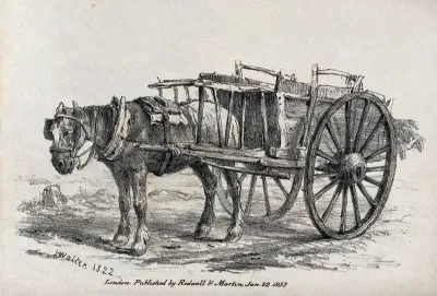 A bridled and blinkered horse standing hitched to its cart