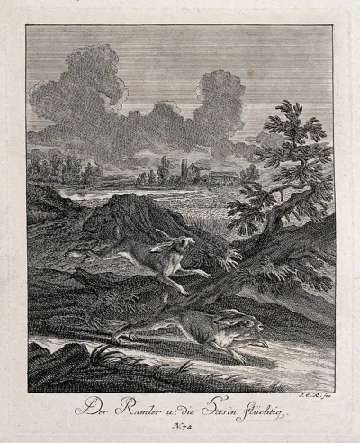 A buck and a female hare running along a path with a village in the background