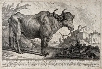 A buffalo standing in a landscape with picturesque ruins in the background
