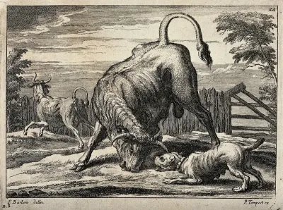 A bull and a bulldog are about to attack each other in an enclosure while another bull is running away