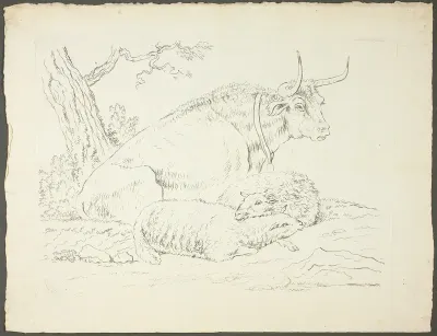 A Bull and Two Sheep
